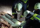 Übung: Personensuche am Therapieparkplatz